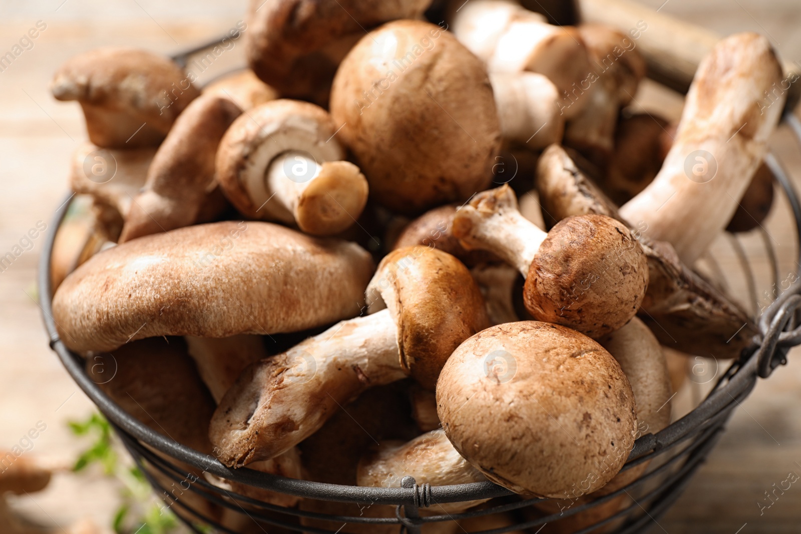 Photo of Different wild mushrooms in metal basket on wooden table, closeup