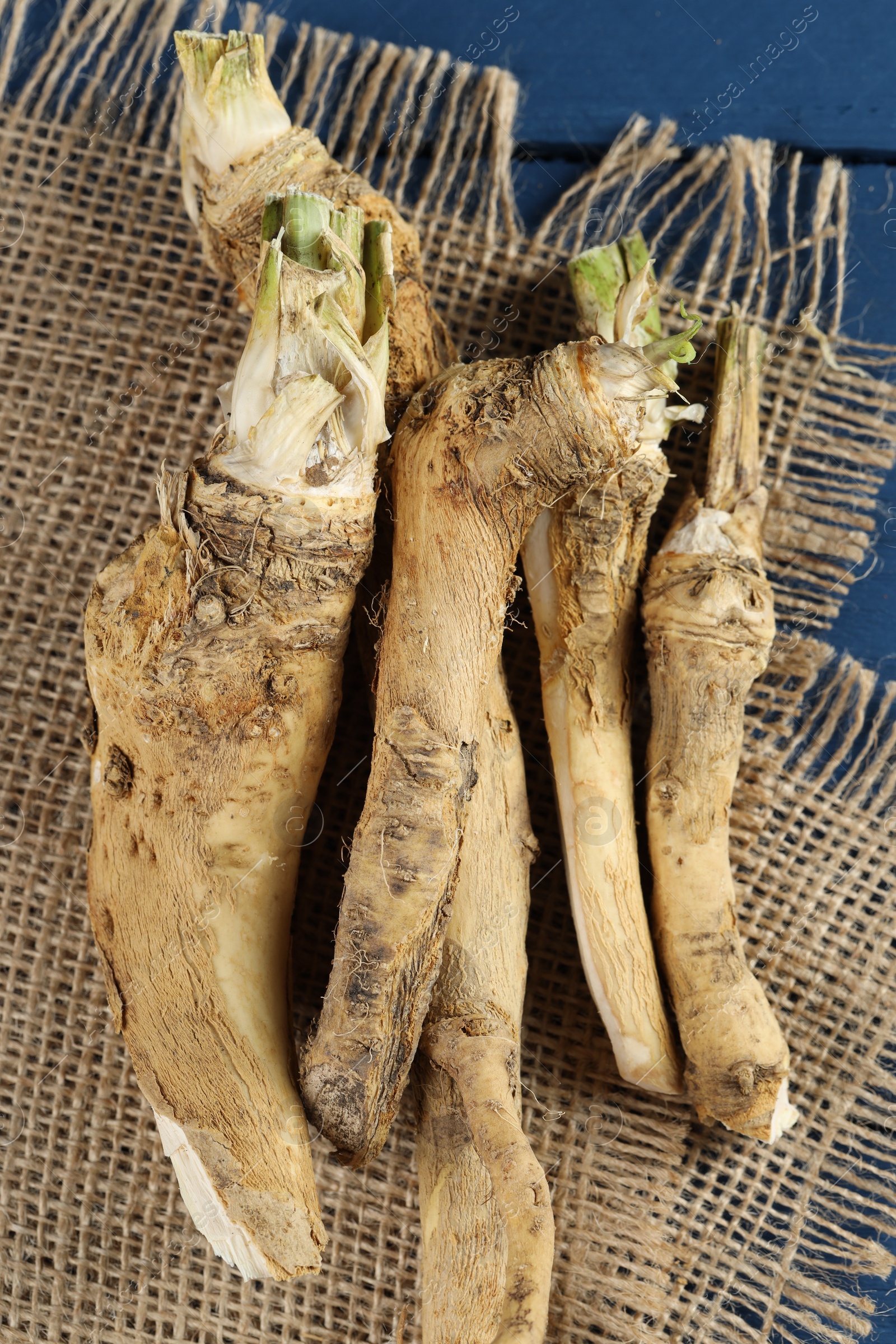 Photo of Fresh horseradish roots on blue wooden table, top view