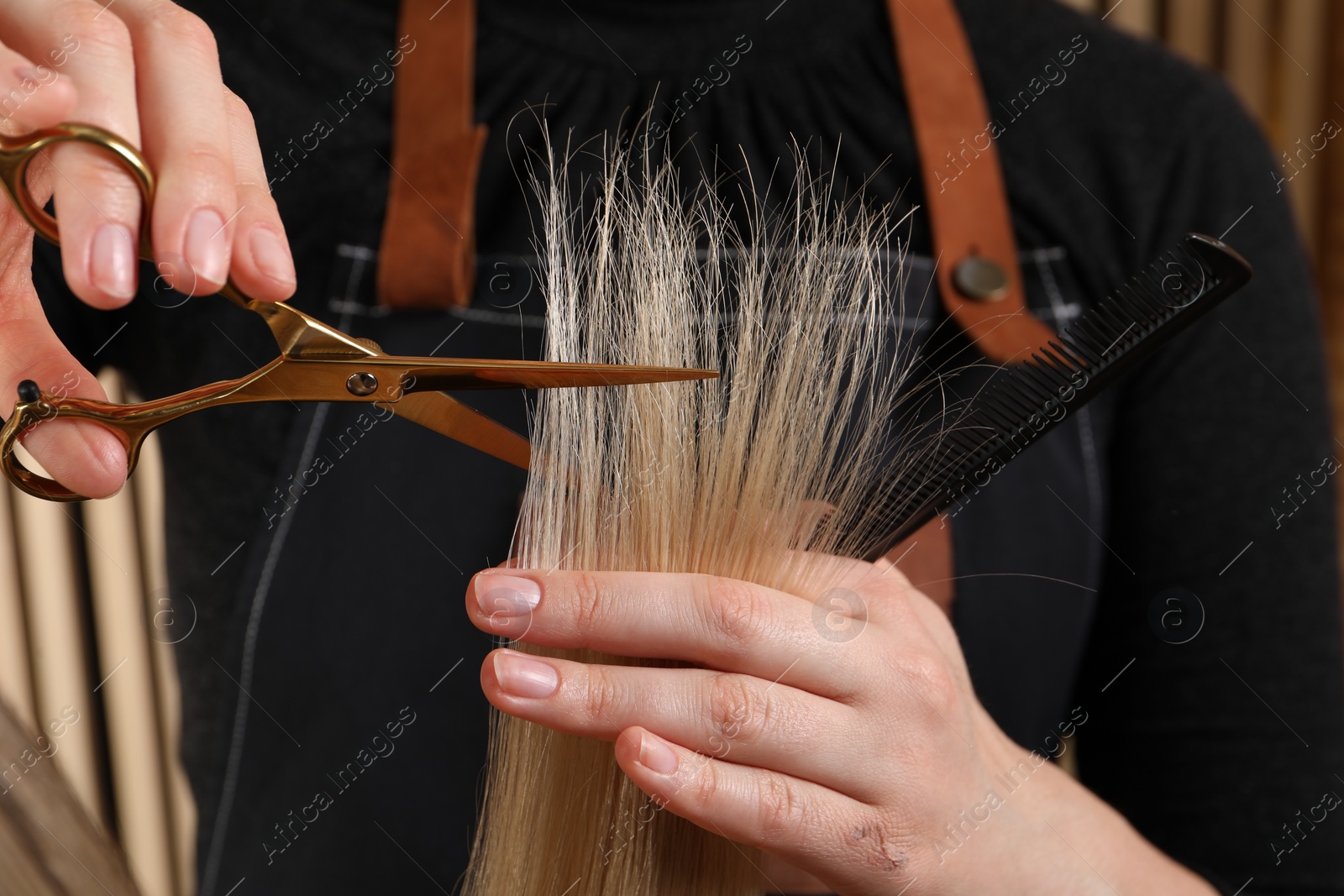 Photo of Hairdresser cutting client's hair with scissors in salon, closeup