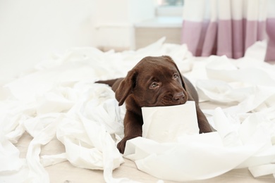 Photo of Cute chocolate Labrador Retriever puppy and torn paper on floor indoors