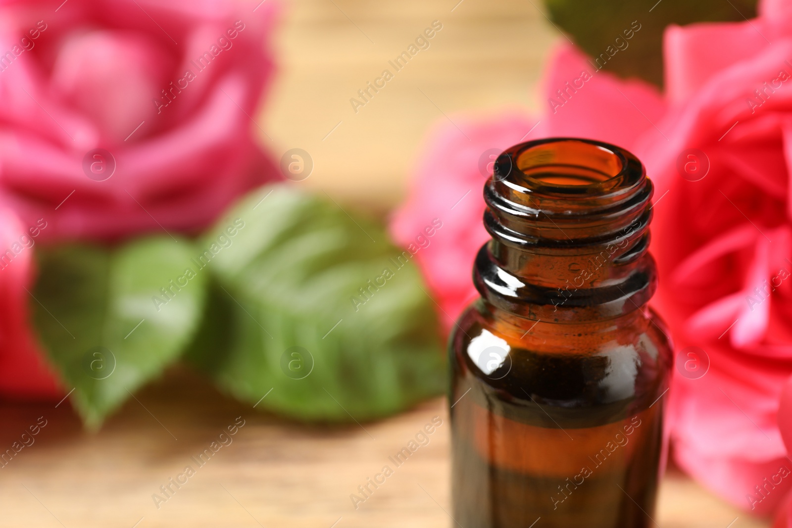 Photo of Open bottle of rose essential oil on table, space for text