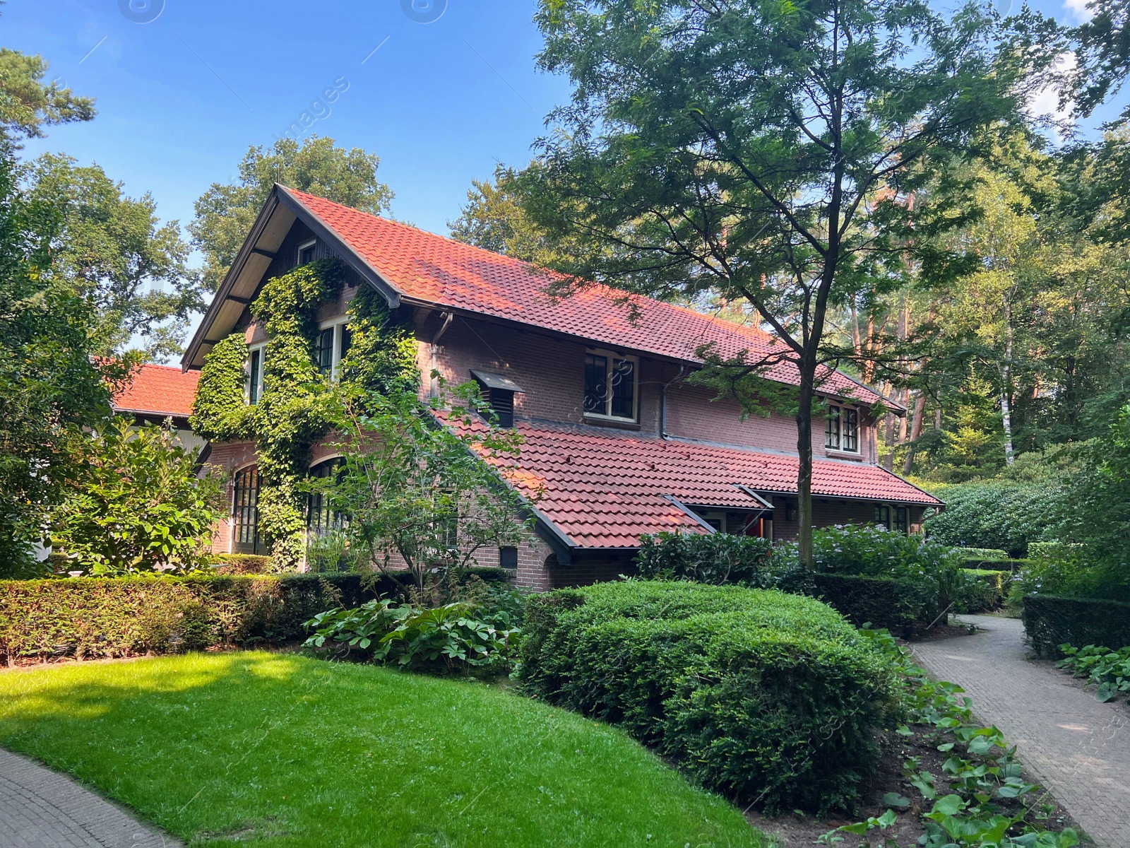 Photo of Picturesque view of beautiful house and plants on sunny day