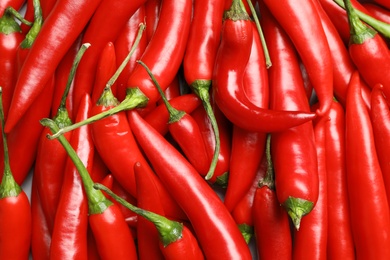 Photo of Ripe red chili peppers as background, top view