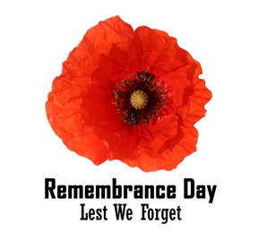 Image of Remembrance day card. Red poppy flower and text Lest We Forget on white background