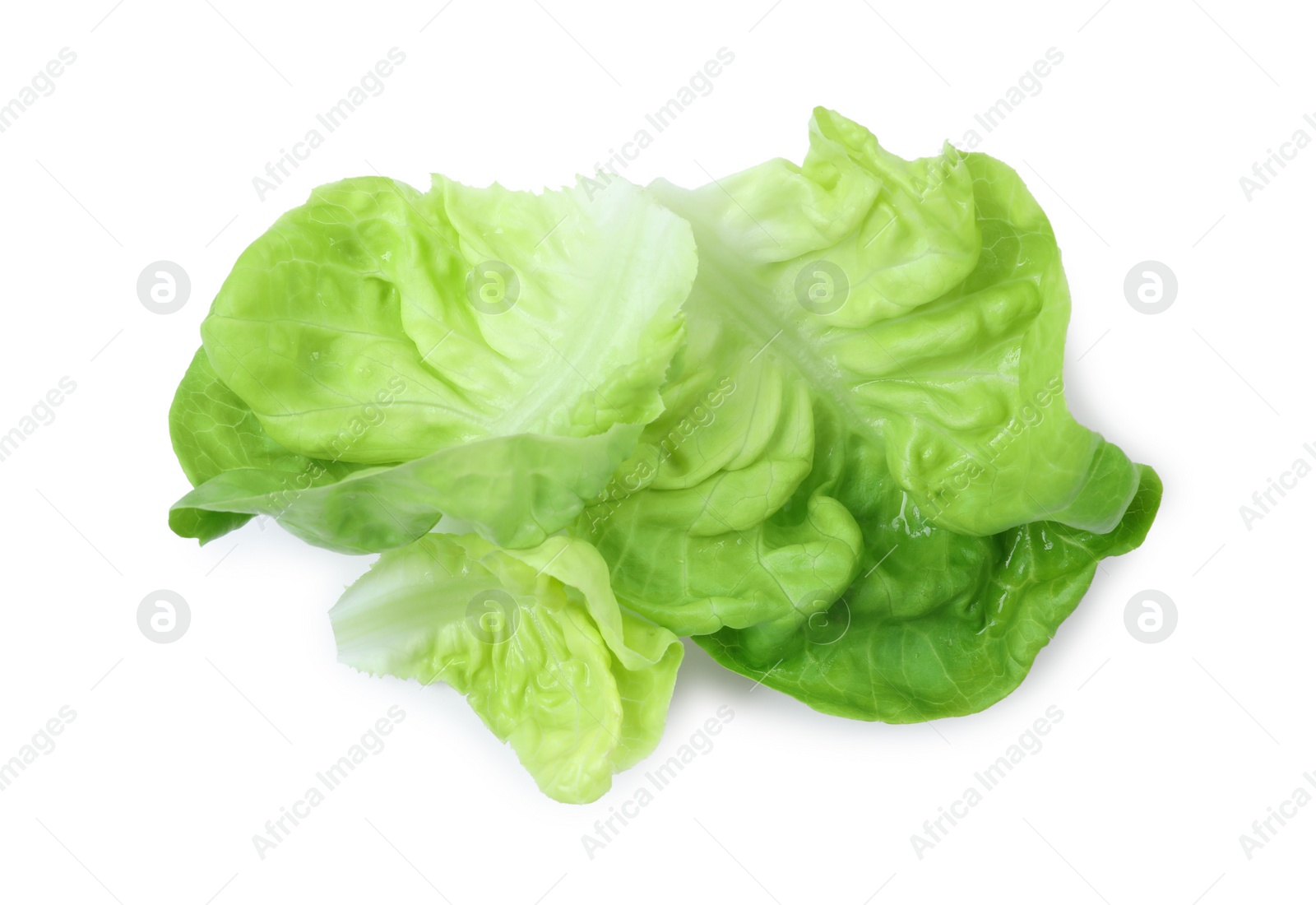 Photo of Fresh green butter lettuce leaves isolated on white, top view