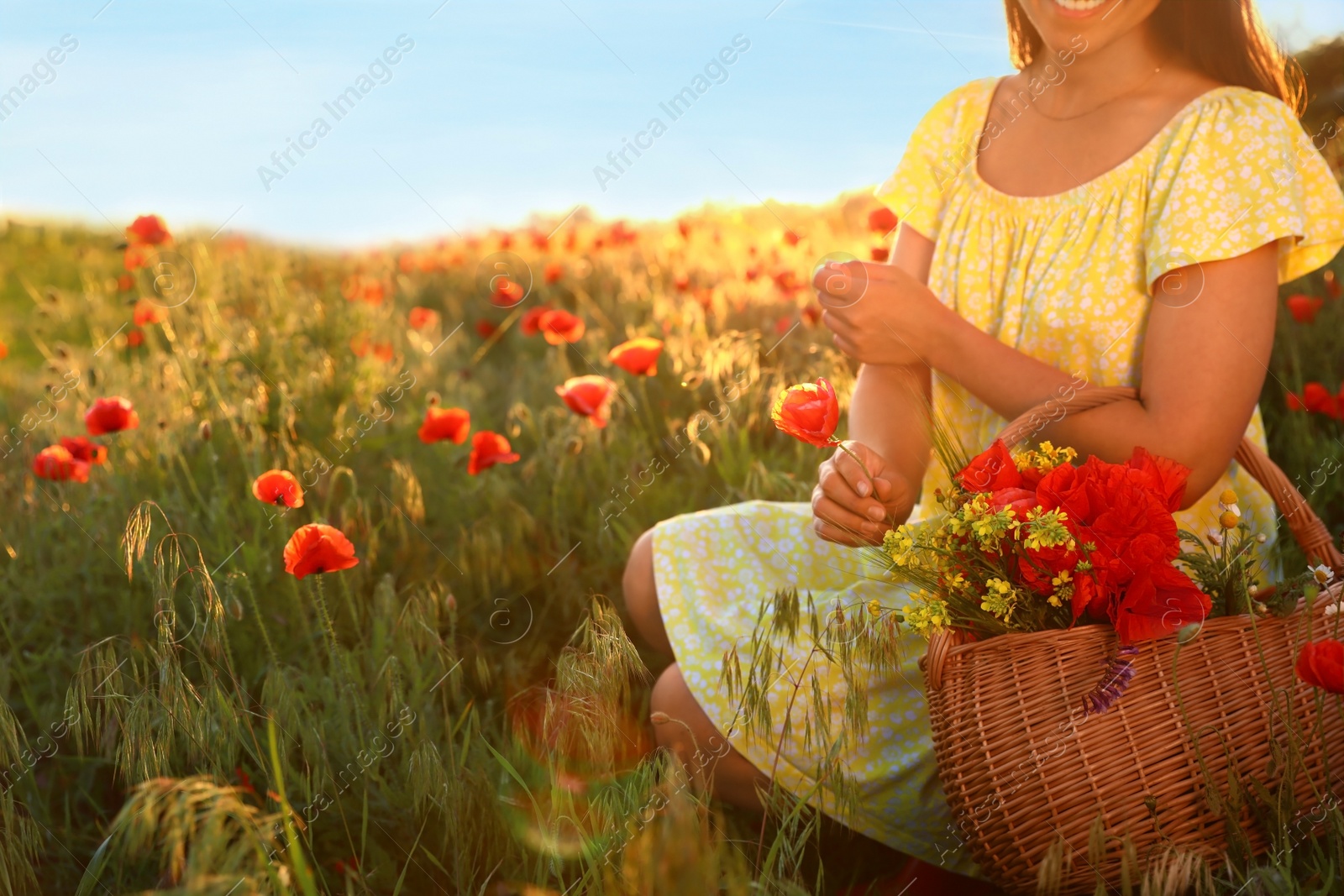 Photo of Woman with basket of wildflowers in sunlit poppy field, closeup. Space for text