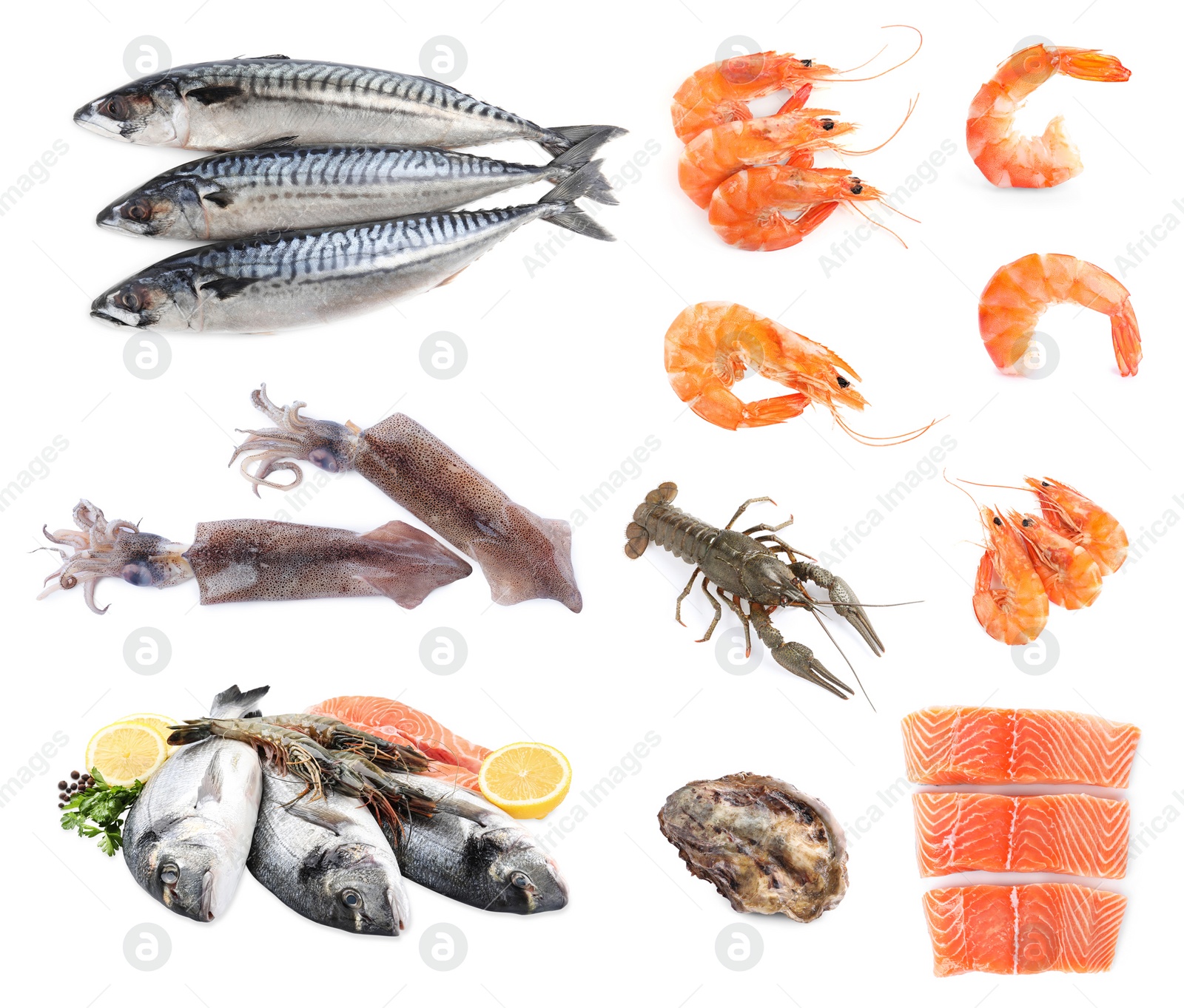 Image of Collage with different seafood on white background