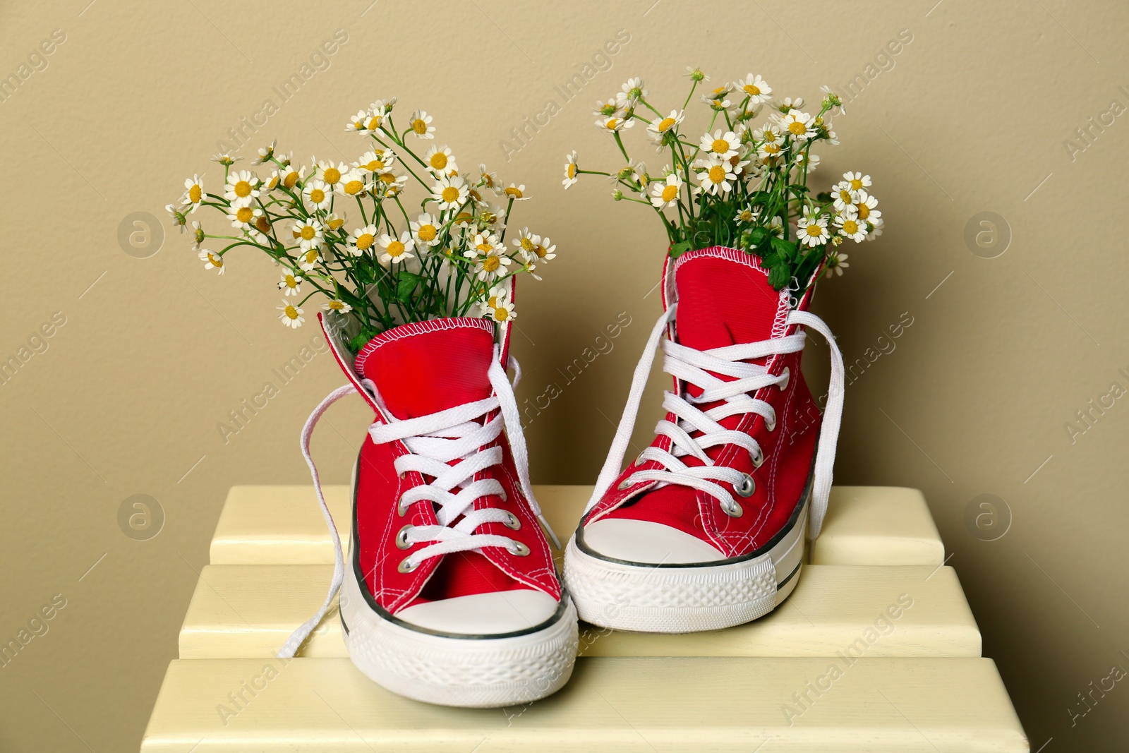 Photo of Beautiful tender chamomile flowers in red gumshoes on wooden table