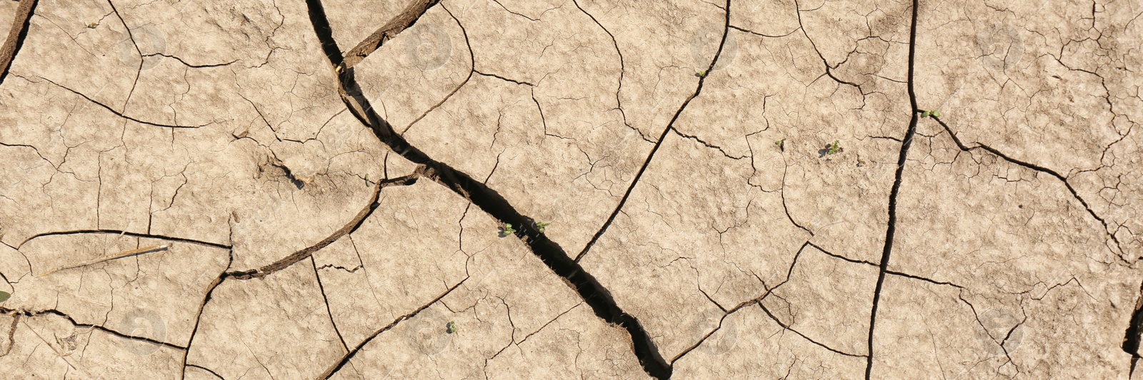 Image of Dry cracked ground as background, top view. Banner design