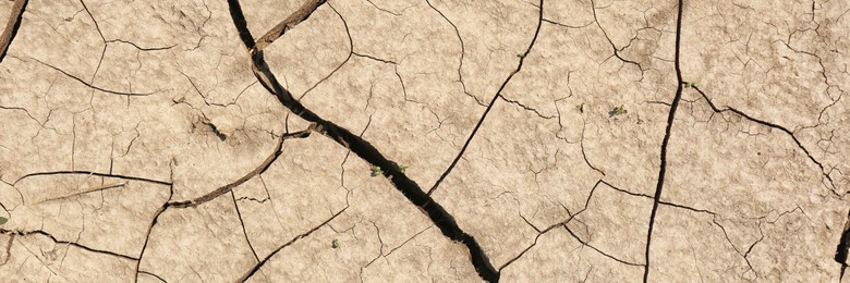 Dry cracked ground as background, top view. Banner design