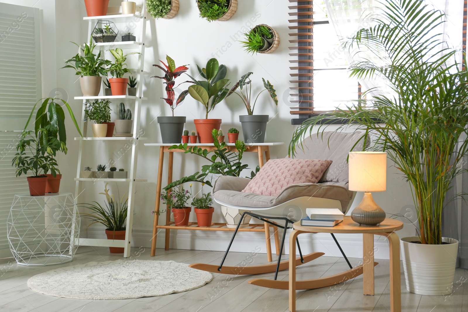 Photo of Stylish room interior with different home plants