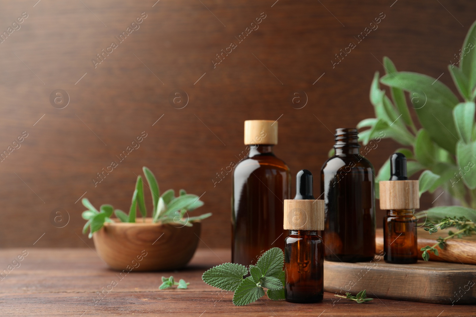 Photo of Bottles of essential oils and fresh herbs on wooden table, space for text