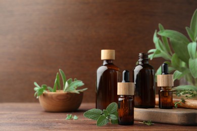 Photo of Bottlesessential oils and fresh herbs on wooden table, space for text
