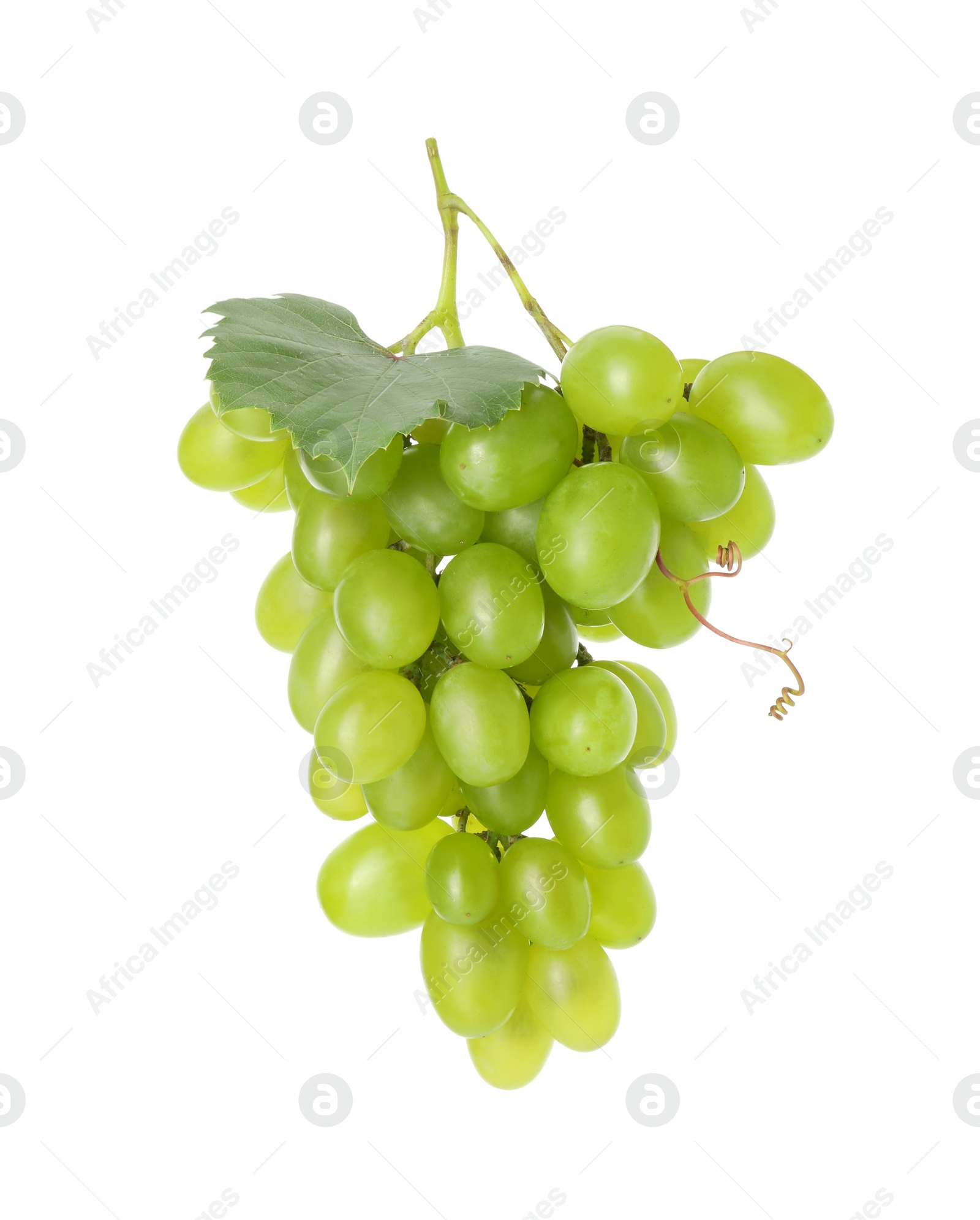 Photo of Fresh ripe grapes and leaf isolated on white