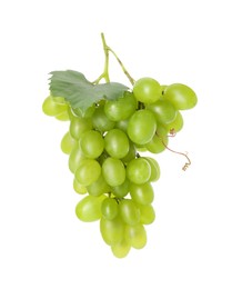 Photo of Fresh ripe grapes and leaf isolated on white