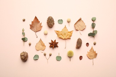 Flat lay composition with autumn leaves on light background