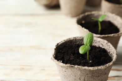 Photo of Young seedling in peat pot on white table, closeup. Space for text