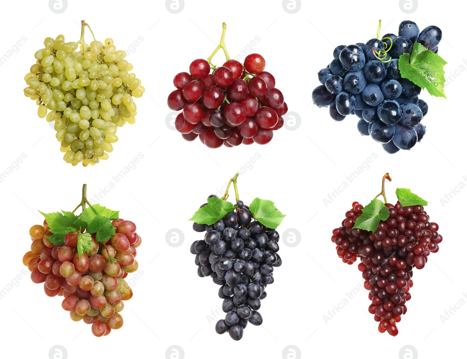 Image of Set of fresh grapes on white background