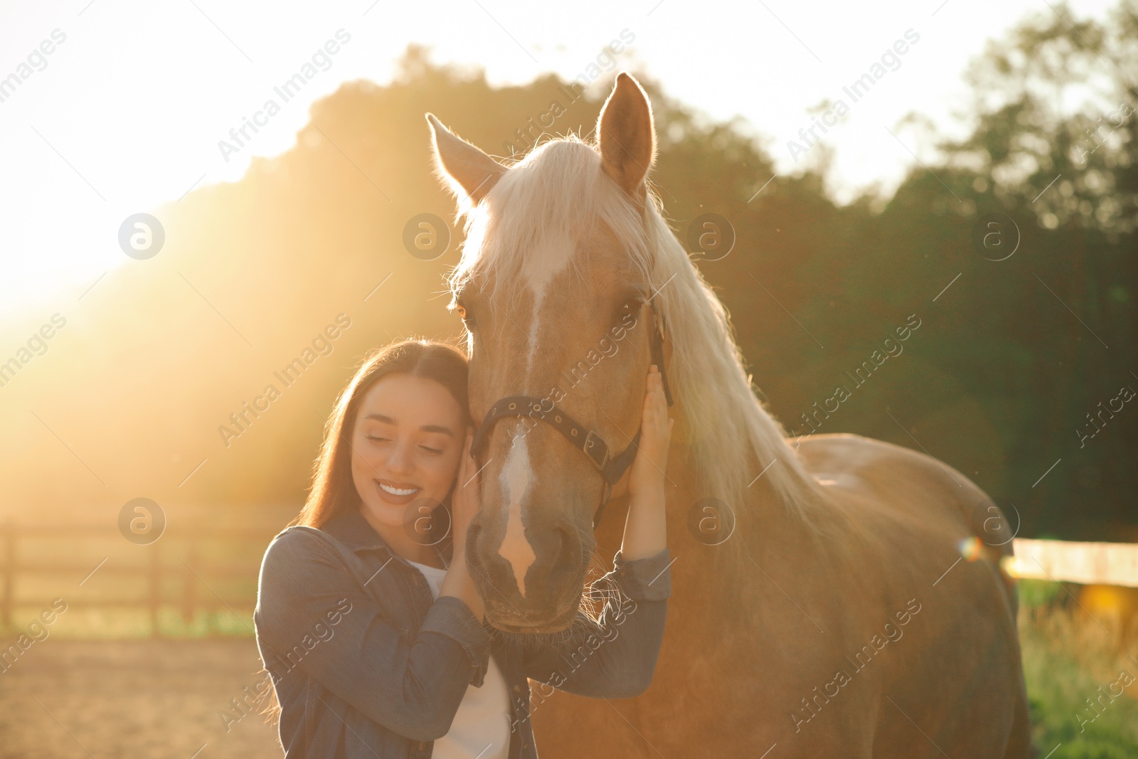 Photo of Beautiful woman with adorable horse outdoors on sunny day. Lovely domesticated pet