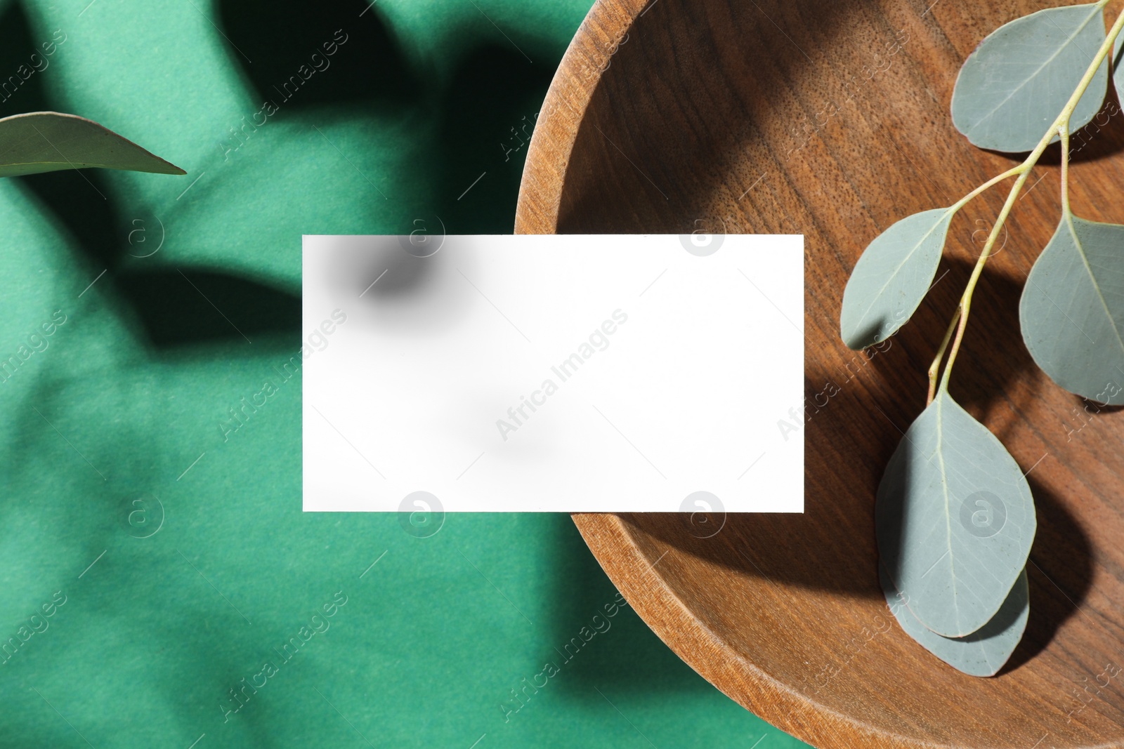 Photo of Empty business card, wooden dish and eucalyptus branches on green background, top view. Mockup for design