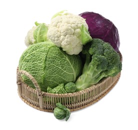 Wicker tray with different types of fresh cabbage on white background