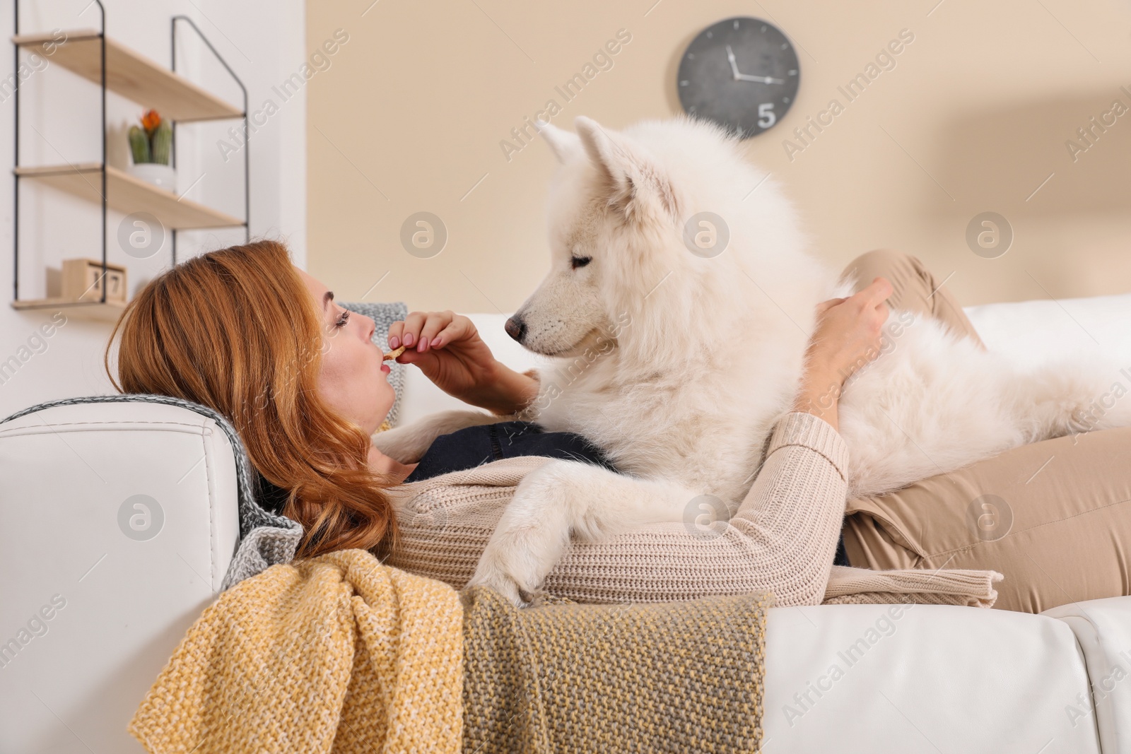 Photo of Beautiful woman with her dog lying on sofa at home