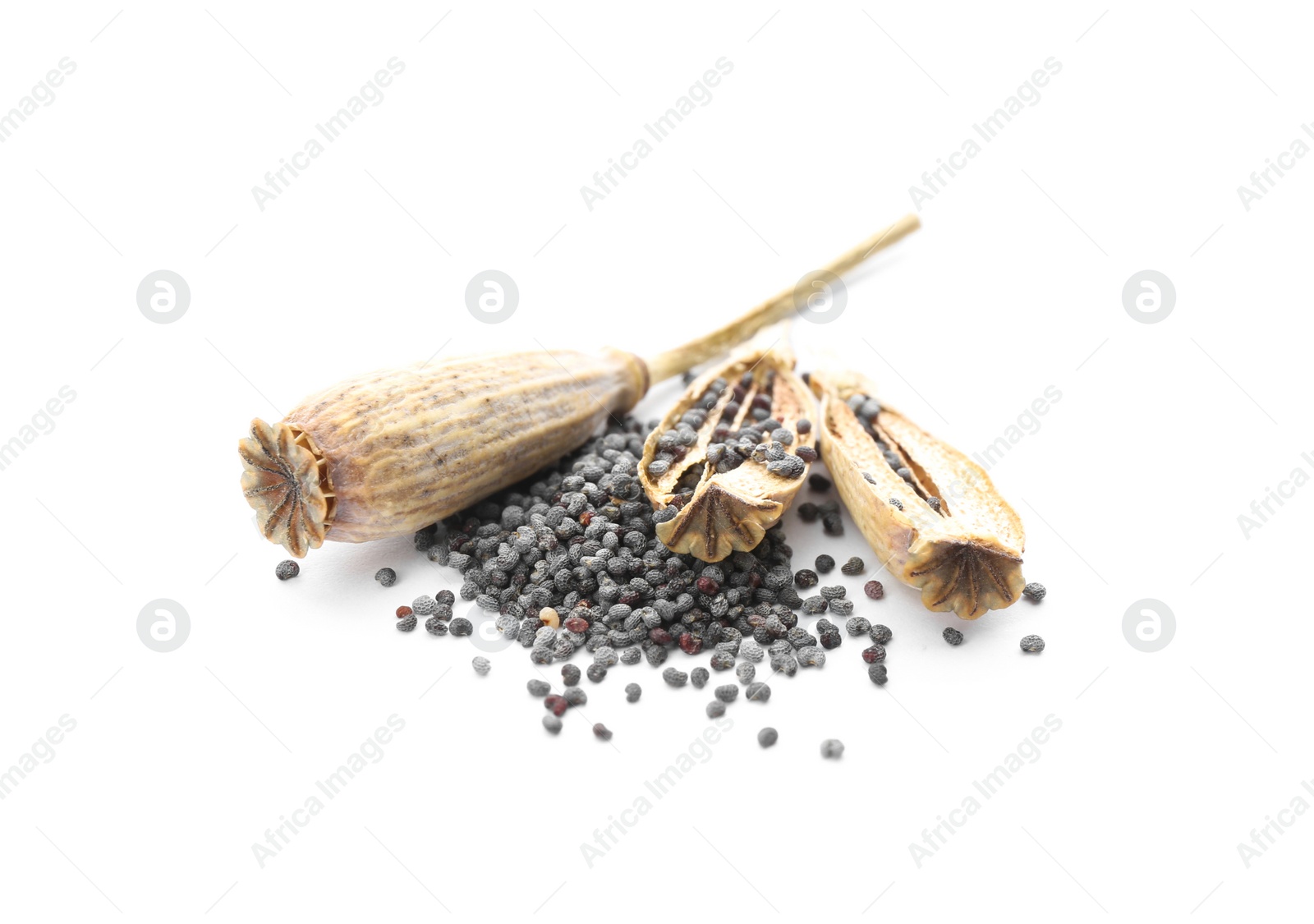 Photo of Dried poppyheads and seeds on white background