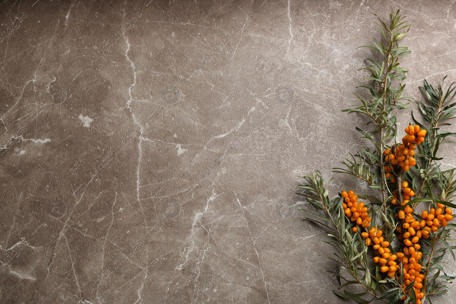 Photo of Branches of sea buckthorn on marble table, flat lay. Space for text