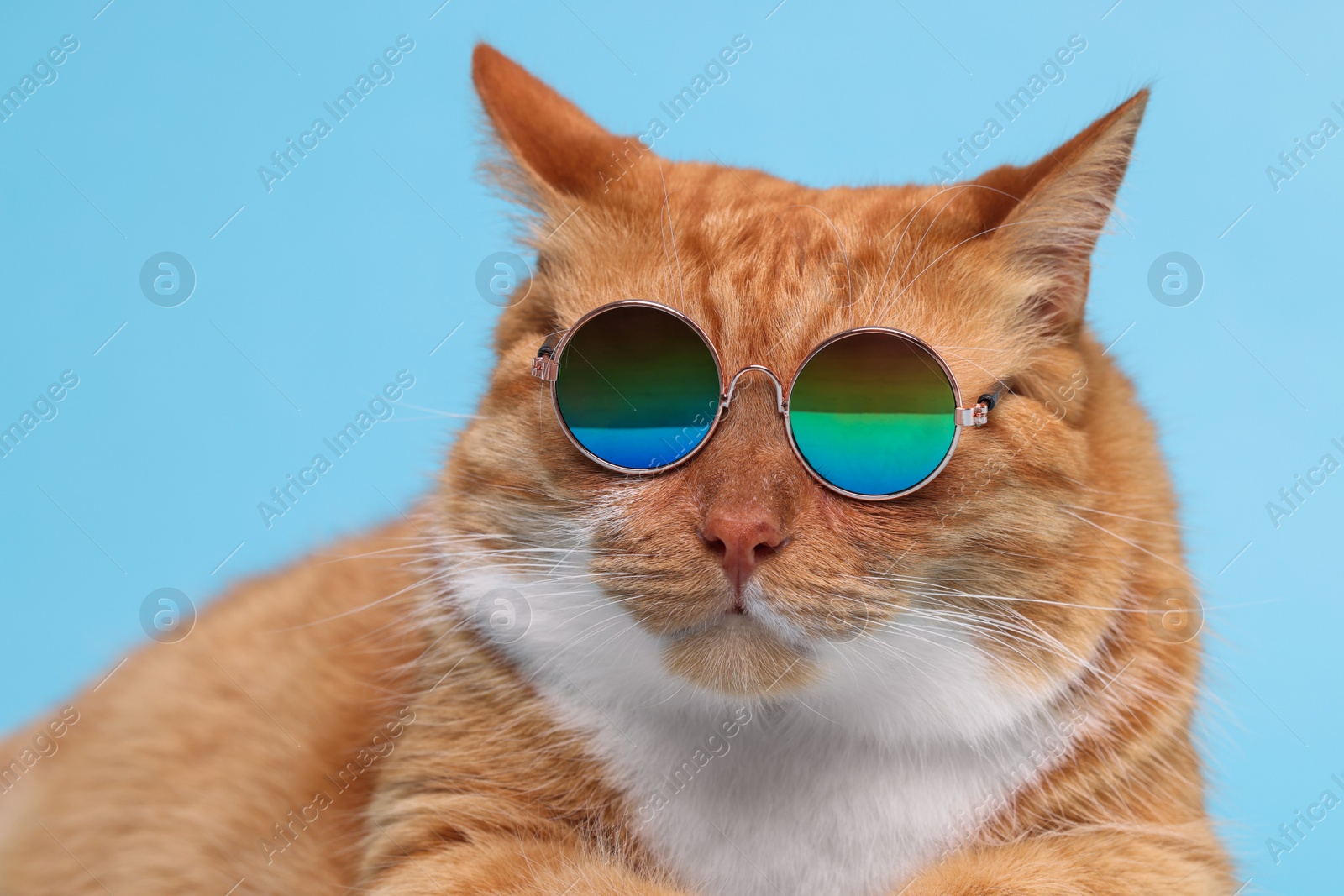 Photo of Portrait of cute ginger cat in stylish sunglasses on light blue background, closeup