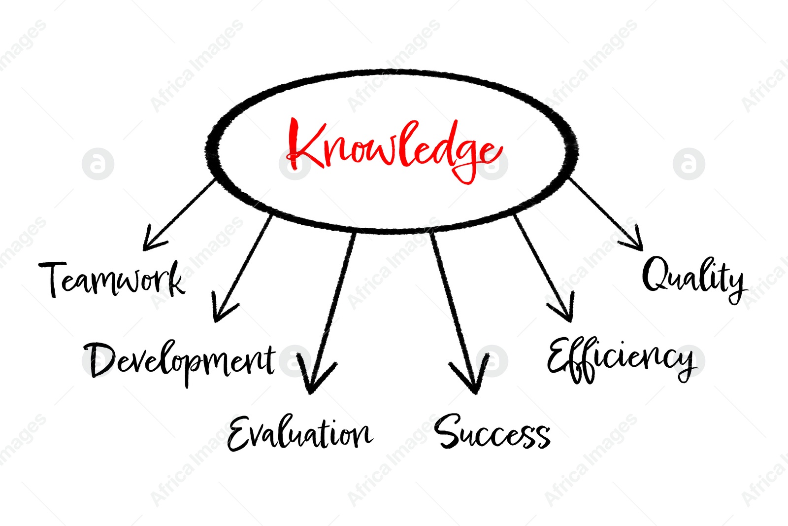 Illustration of Mind map. Circle with word Knowledge and arrows leading to other words (Teamwork, Development, Evaluation, Success, Efficiency, Quality) on white background