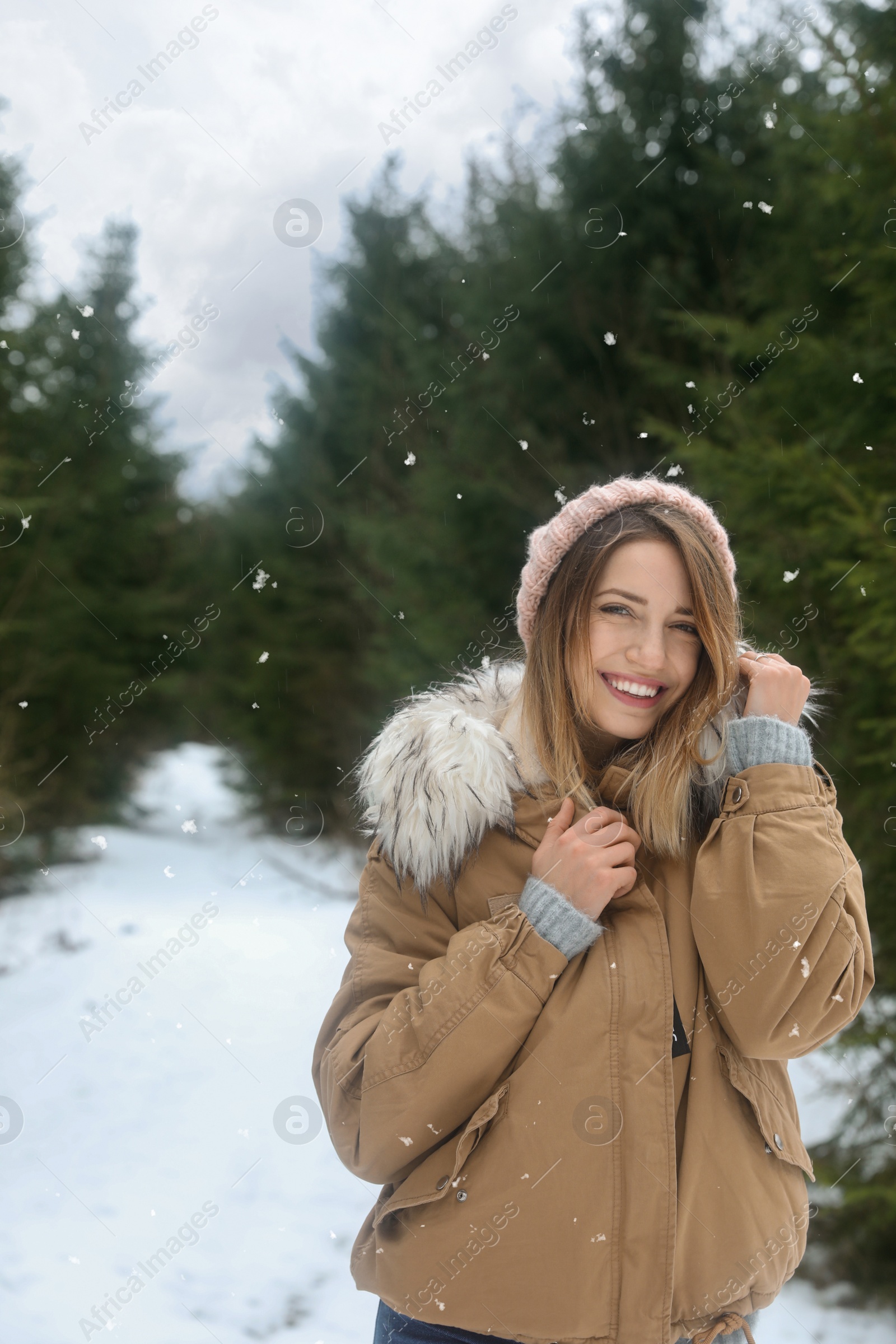 Photo of Young woman in snowy conifer forest. Winter vacation