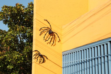 Photo of Big creepy spiders on yellow building wall. Halloween decor
