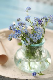 Photo of Beautiful Forget-me-not flowers in vase on tray