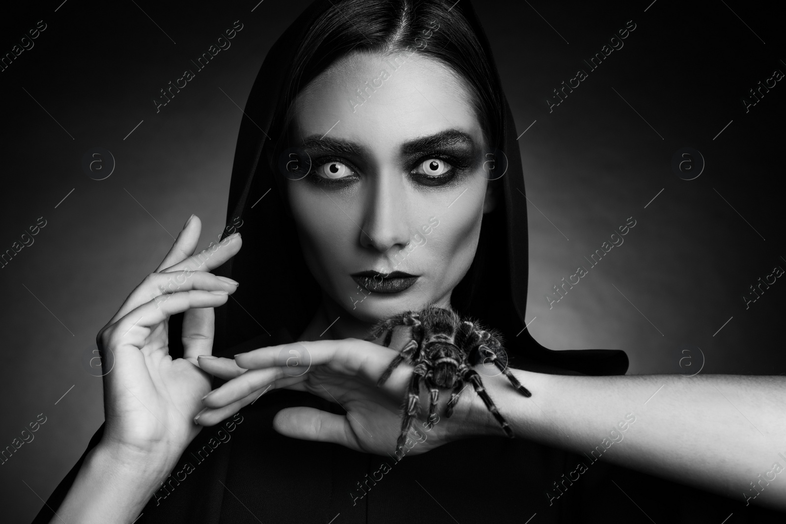 Photo of Mysterious witch with spooky spider on dark background. Black and white effect