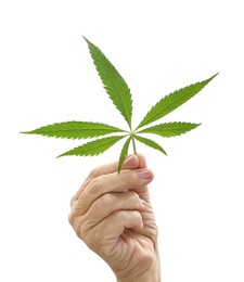 Photo of Woman holding fresh green hemp leaf on white background, closeup. Space for text
