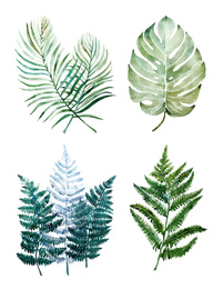 Beautiful watercolor tropical leaves painted on white paper