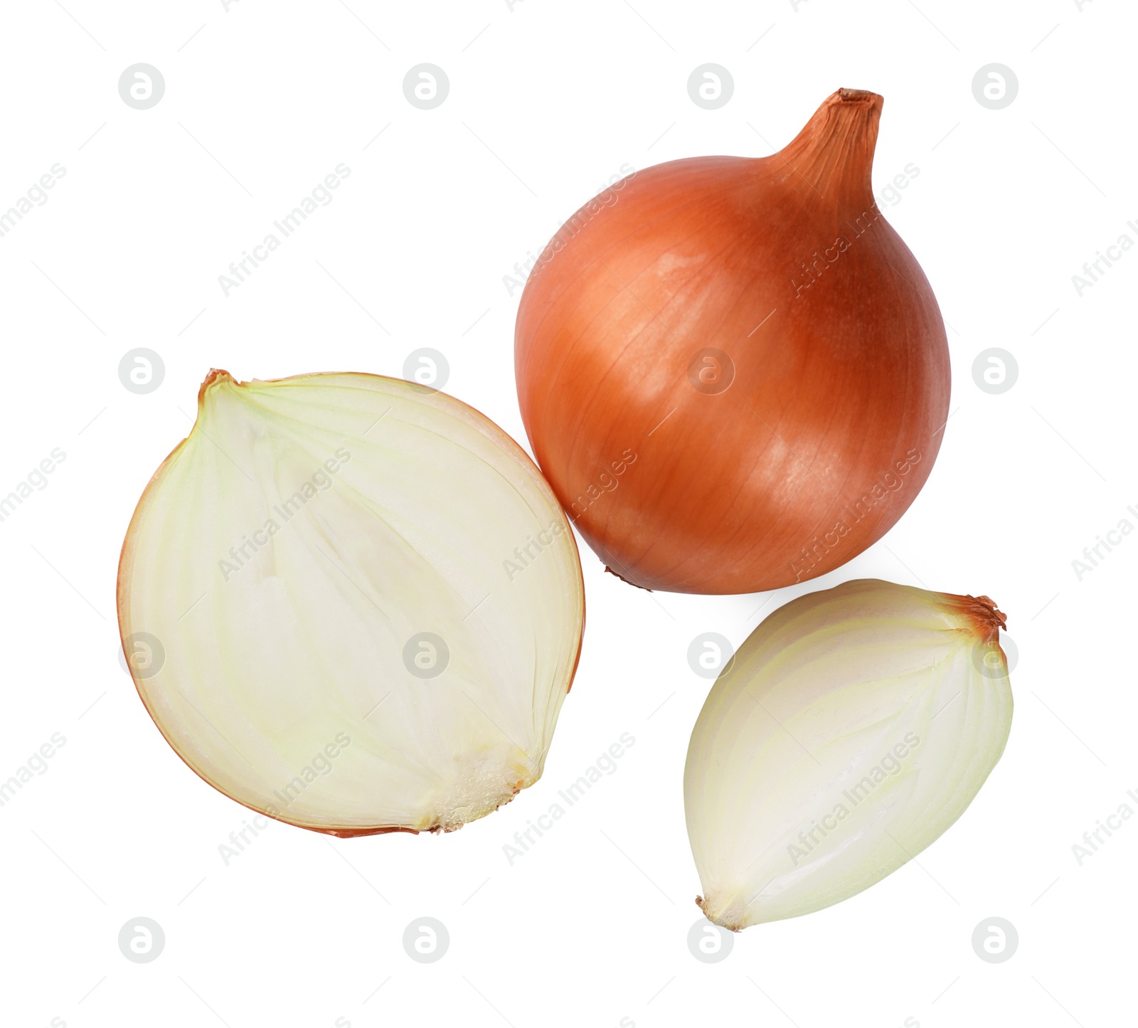 Photo of Whole and cut onions on white background, top view