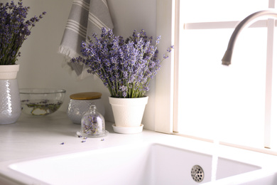 Photo of Beautiful lavender flowers on countertop near sink in kitchen