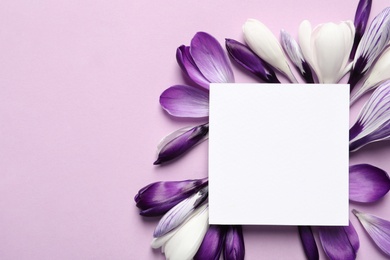 Photo of Beautiful spring crocus flowers and card on color background, top view. Space for text