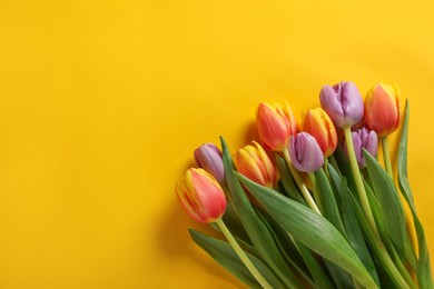 Photo of Many beautiful tulips on yellow background, flat lay. Space for text