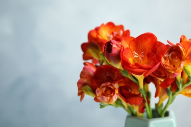 Photo of Beautiful spring freesia flowers in vase on color background. Space for text