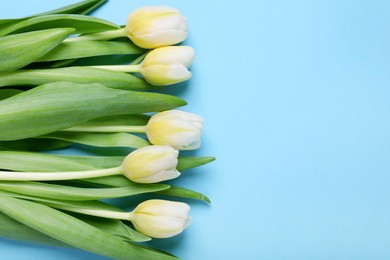 Beautiful yellow tulips on light blue background, flat lay. Space for text