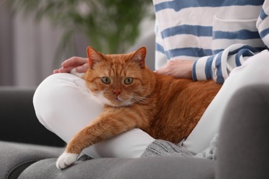 Photo of Woman with her cute cat on sofa at home, closeup