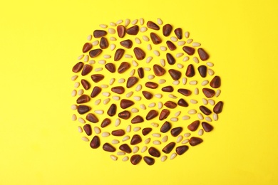 Photo of Flat lay composition with pine nuts on color background