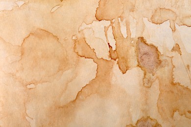Photo of Sheet of parchment paper as background, top view