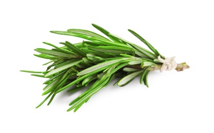 Photo of Bunch of fresh rosemary isolated on white