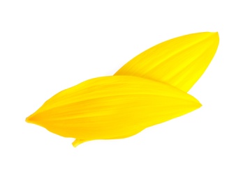 Photo of Fresh yellow sunflower petals isolated on white, top view