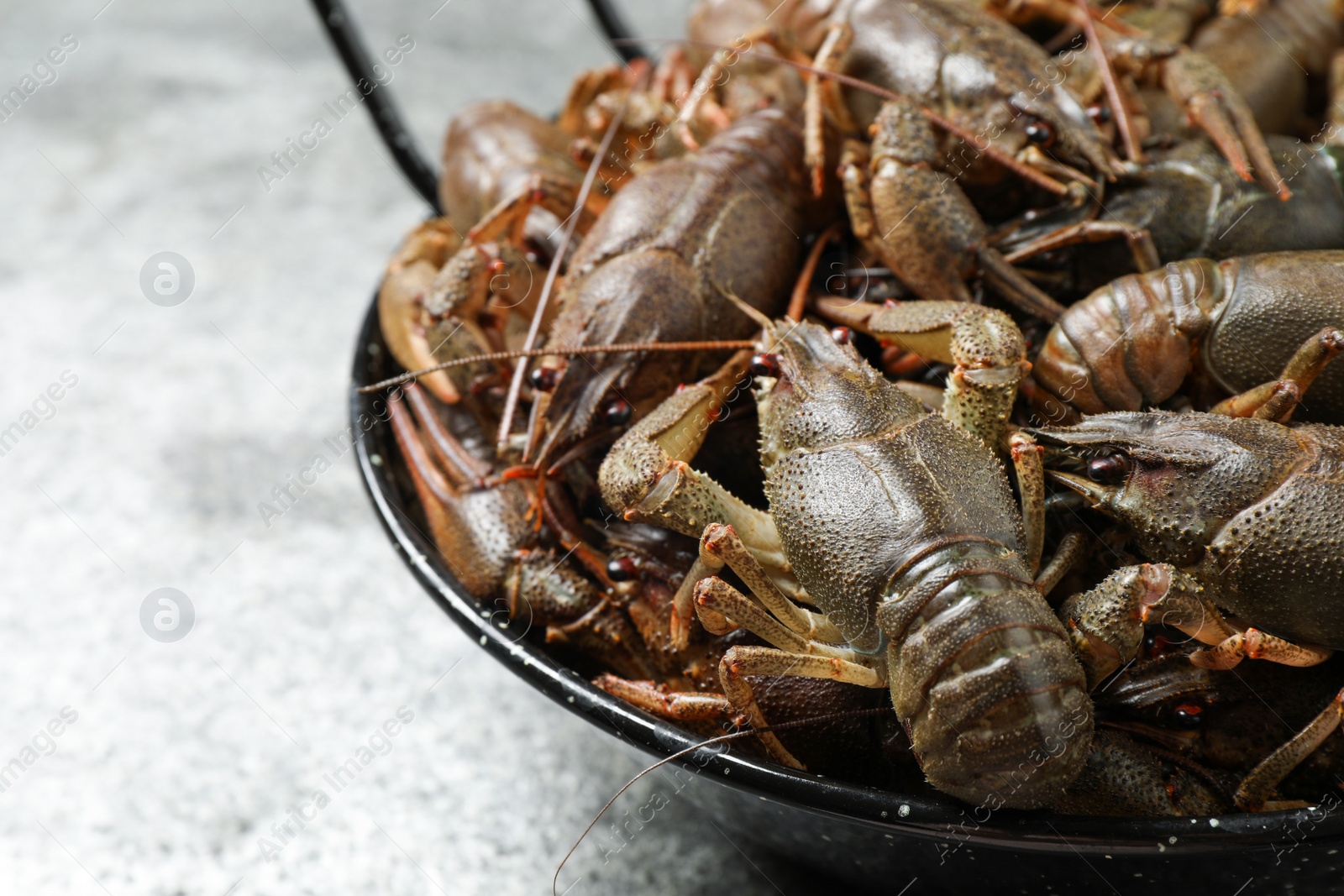 Photo of Fresh raw crayfishes on grey table, closeup