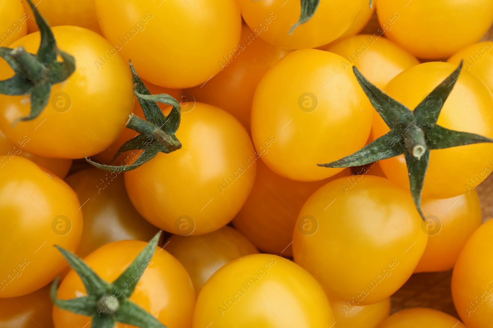 Many ripe yellow tomatoes as background, closeup Photo of Many ripe yellow tomatoes as background, closeup
