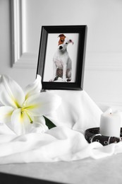 Photo of Frame with picture of dog, collar, burning candle and lily flower on white cloth, closeup. Pet funeral
